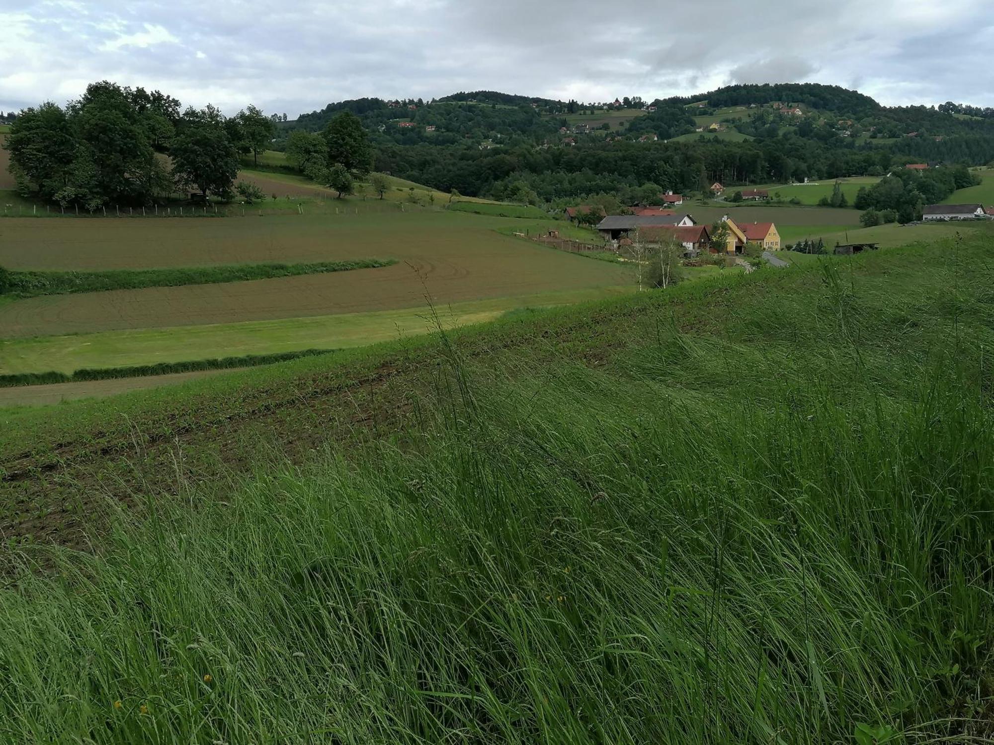 Am Jaukhof Familie Stiendl Villa Neudorf im Sausal Buitenkant foto
