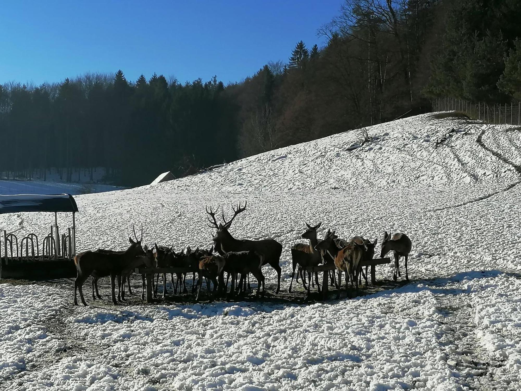 Am Jaukhof Familie Stiendl Villa Neudorf im Sausal Buitenkant foto